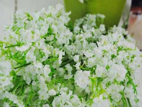 11.全家都是小雨，烦躁不安，离开轻凉；情是风，吹着悲伤，保持快乐；家庭就是阳光，带走了黑暗，留下了光明。家庭是最伟大的，无论您是幸福，沮丧，痛苦，失落，它都会在您的途中，与您的生活悄无声息。家庭亲情是雨，带走了烦躁，离开了阴凉；亲情是风，吹走了悲伤，留下了幸福；家人的感情是：太阳带走了黑暗，把光留下了。家人的感情是最大的，无论您的幸福，沮丧，痛苦，犹豫如何，它总是会在您的途中轻轻行走，并静静地陪伴您的生活。