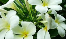 优美亲情的句子大全