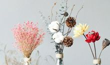 表现亲情优美句子