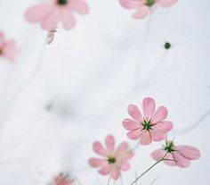 10.承认自己的缺点，不要怪自己太多。