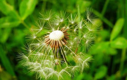 10.人们需要养育家庭友谊和热爱生活。有了这样的感情，完美的生活将是可用的。