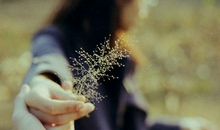 称赞家人亲情的句子