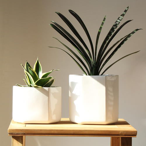 12.家庭亲情就像蜂蜜一样，带给您甜美的味道；家人的感情，就像沙漠中清澈的春天，可以在遇到麻烦时为您提供帮助；家庭之情，就像一艘船，载着您长途航行。