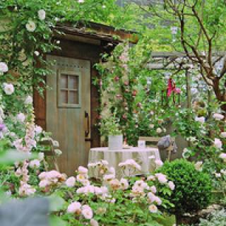 11.家庭情感一直无时无刻不在我们身边，有时我们会因为我们的顽皮和好玩而忘记它的存在。但是，那一刻，我意识到：亲情是如此重要。