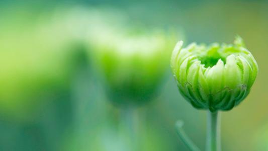 12.请不要假装对我好，我很傻，会认真对待。