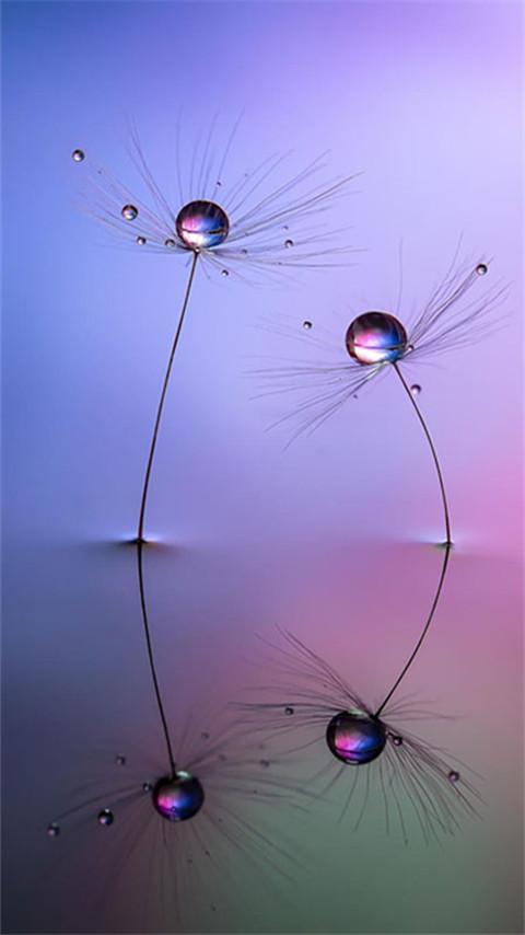 10.有了湖水的平静，我们心中的起伏平顺？