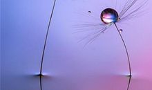 戳中泪点的句子亲情