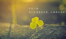 描述尽力不后悔的句子