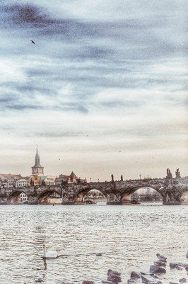 11.你是一棵大树，使我们免于跌宕起伏；您就是阳光，为我们的生活带来光明。亲爱的父亲，祝您健康长寿。生日快乐！