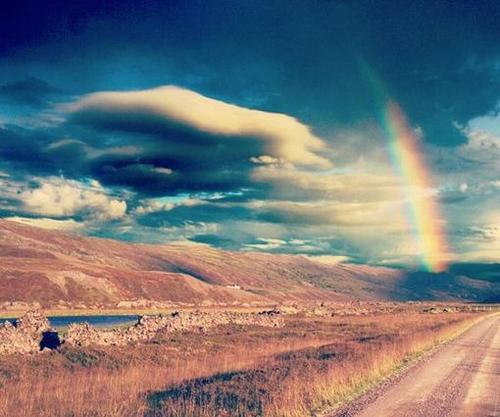 12.事实证明，放手的时刻非常容易。我不必再被束缚了，我也不必担心了。我尽我所能，服从我的命运，努力工作，不要后悔，将来我会越来越好。