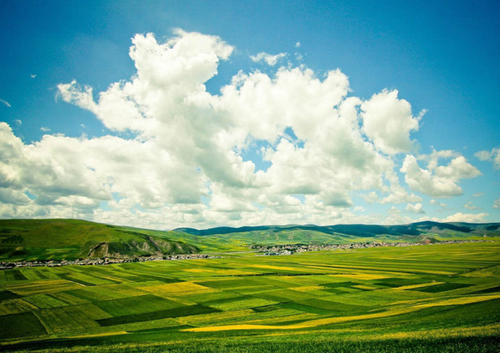 11.用爱的眼神，看着我们寂寞航行？