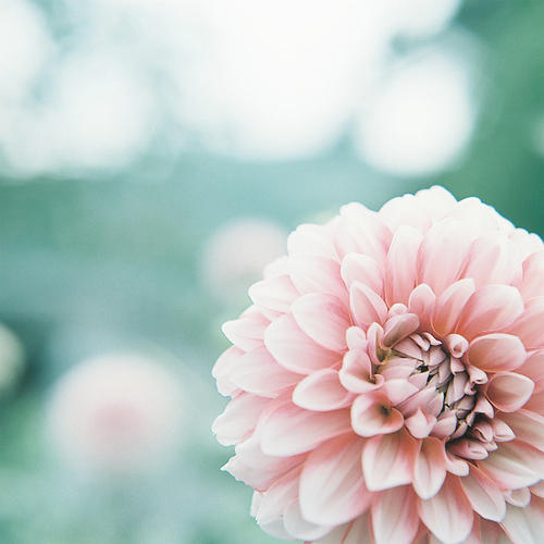 12.家庭之情是一小勺瓢泼的雨水，在春天漂浮，使孤独和寂寞的人干dry灵魂；