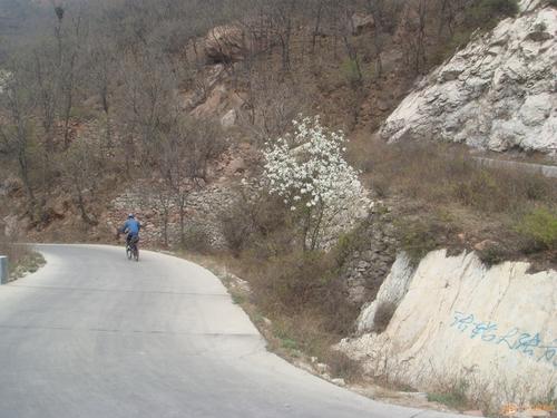 11.詹慧每个人都收集弓箭，然后返回西部的家乡。