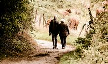 白头到老的句子