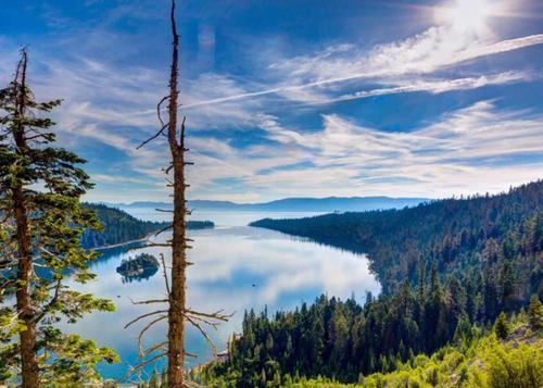 11.母爱多么强烈，自私，狂热地占据了我们的全部内心和感情。