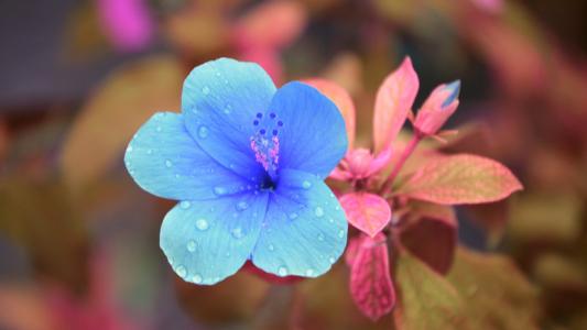 12.男神让我一个人呆着！！！很高兴！！！