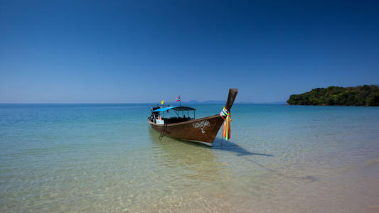 12.爸爸妈妈第一次去动物园。孩子们对动物很好奇，但也很恐惧。