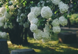 11.感情就像水，使一切都被纯净过滤；通过烧掉更多的边缘，使它成为扁平的家庭；家庭是诗歌，所以无聊经过修饰就达到了一种意境。家庭，生命永恒的力量。