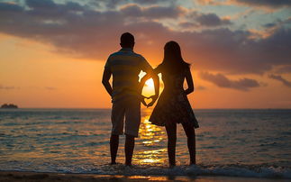 11.失眠的人即使想得太多并且感到困惑，也没有机会做梦。