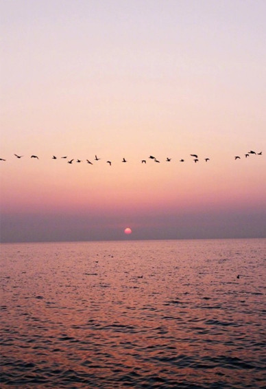 12.什么是家庭感情？生活就像一首歌，家庭感情在配音。