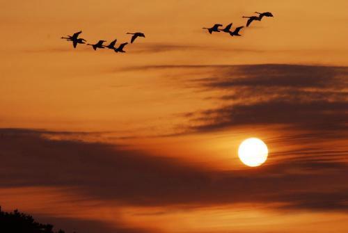 12.我要告诉你我不在你身边时遇到的所有坏事，但是最后，我只想告诉你，我想念你，我非常想念你，我真的想念你。