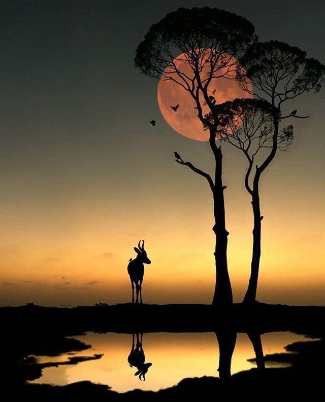 10.真正的爱就是四处走动或相遇！幸运的是，您将来不会后悔。