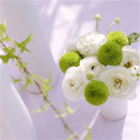 11.小日子开始变得充实，没有必要每天做无聊的工作。您带给我们的幸福，我们是一个家庭。