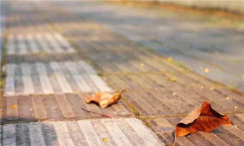 11.你突然把我叫醒。我们彼此相识的时间可以数年。您说我找到了真爱，并祝我幸福，但我仍然在原地徘徊。