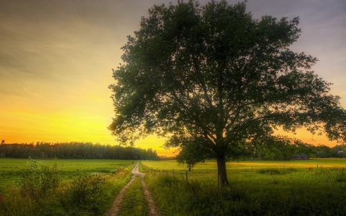 10.越来越沉默。因为看到世界很酷。看到人性的自私和贪婪。家庭之爱和友谊无非如此。人们总是孤单。所以不用担心存在