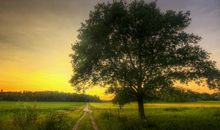 描写感慨亲情一文不值的句子