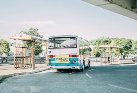 12.其实生活很简单，只要在阳光明媚的日子里充分拥抱阳光即可。