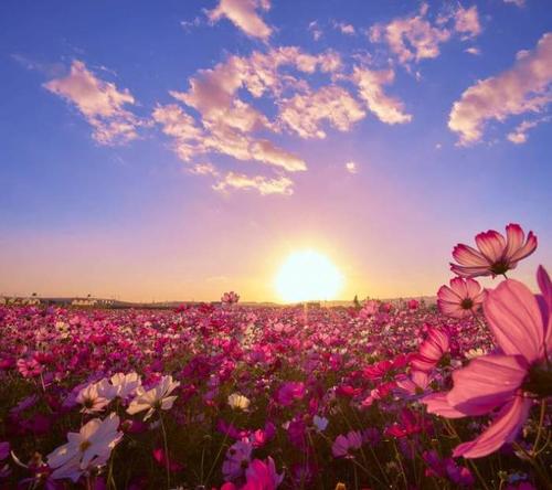 11.我喜欢看着你甜美的笑容，瞬间使我的心温暖。