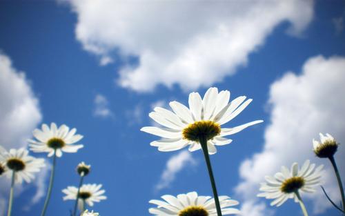 10.只要你在这个世界上，我比什么都开心