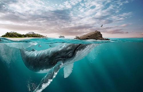 11.在这个物质渴望和浮躁的时代，有些人脚踏实地过着自己想要的生活。有些人翘起剑，寻找捷径，甚至无视道德和法律。丽索绑架了道德，还是道德投降？请不要让Lisuo蒙蔽您的双眼，对家人漠不关心，疏远友情并埋葬爱情。坚守自己的心，以正常和积极的情绪保持积极向上。