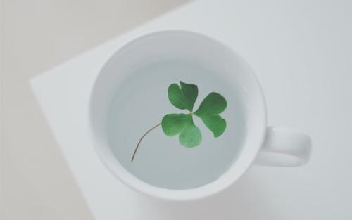 12.当我感到自豪时，母亲可能无法与我一起分享成功的喜悦。