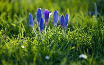 11.高贵的母亲在这里，浪子并不感到寒冷。