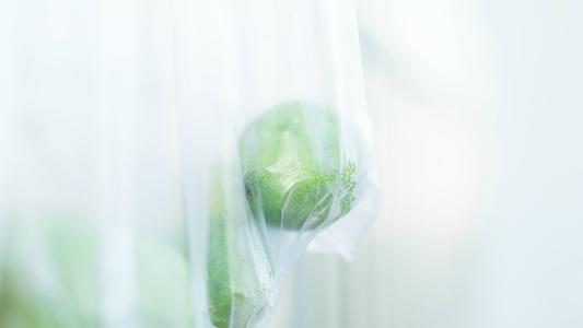 12.感到父亲在昏暗中的照顾，柔和的风抬起了窗玻璃。