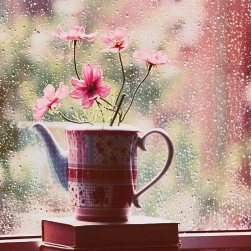 12.世界上有很多人想吃但是不能。我正在帮助他们完成未完成的业务。