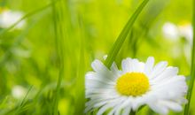 兄弟姐妹间的亲情句子