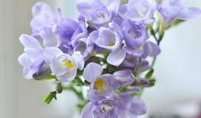 有关亲情的幸福的句子