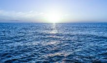 回忆有关亲情的句子