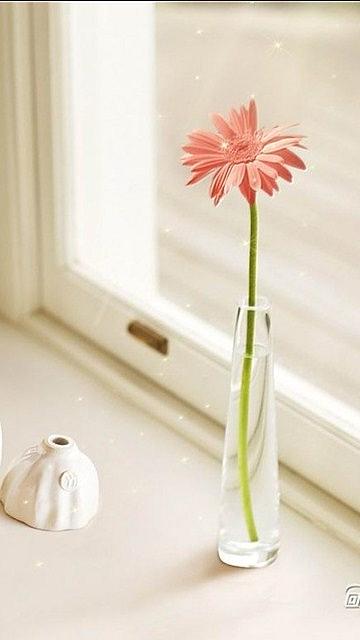 11.母爱就像一首田园诗,遥远而纯洁,温柔而优雅;