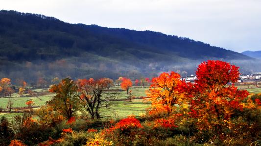 12.暂停辐射控制，乌苏神芒寂静夜露台。