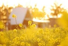 12.家庭感情是一个人的物质财富和精神力量。