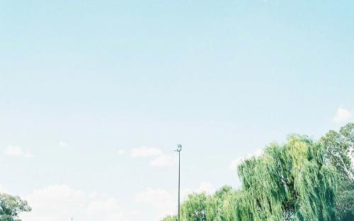 11.生命的价值不是时间，而是深度。