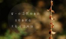 有关于亲情的优美句子