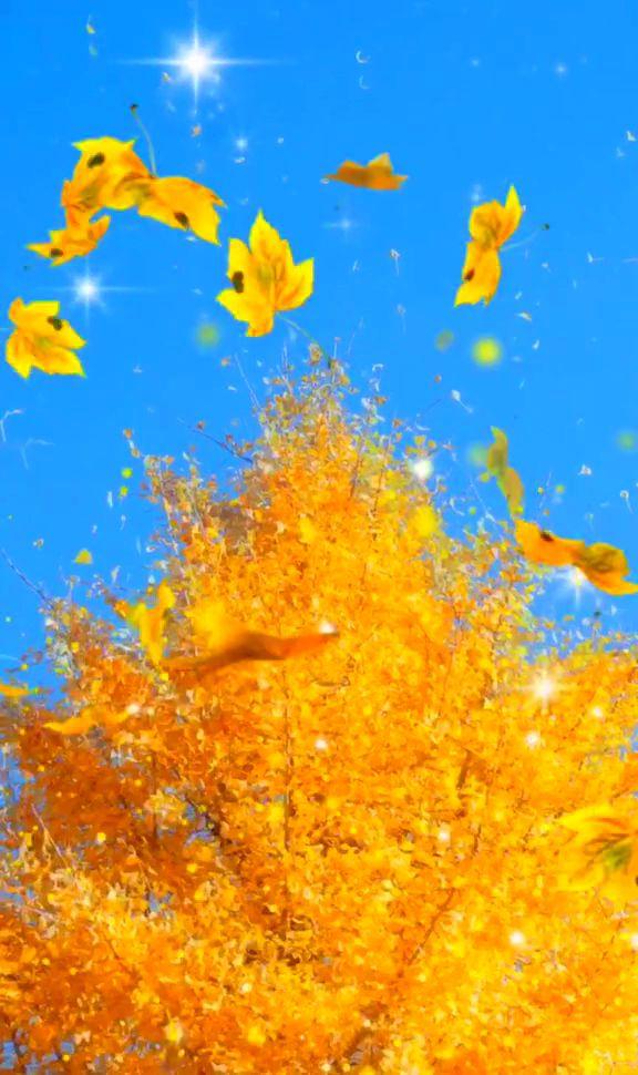 11.父亲节在这里，我想给你寄一件外套：口袋叫温暖，衣领叫关怀，袖子贴心，纽扣叫小姐；让这件大衣每分每秒陪伴您，并祝您父亲复活节快乐！