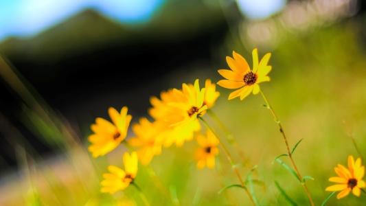 11.这是一个假期，我每天都过得很开心。