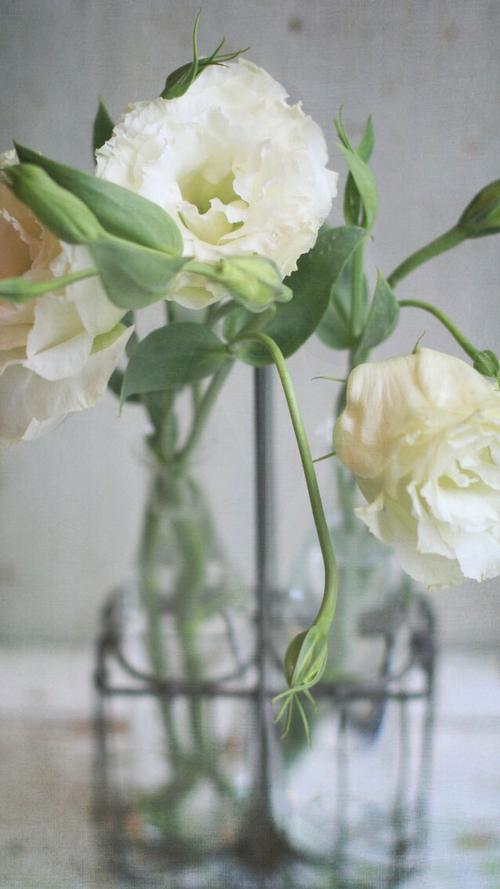 12.经过艰苦的努力,您终于完成了这一生中的另一项重大事件。今天,祝您爱满月的结晶,在此向您致以最诚挚的祝福,祝您的宝宝永远幸福快乐地成长,生活愉快。