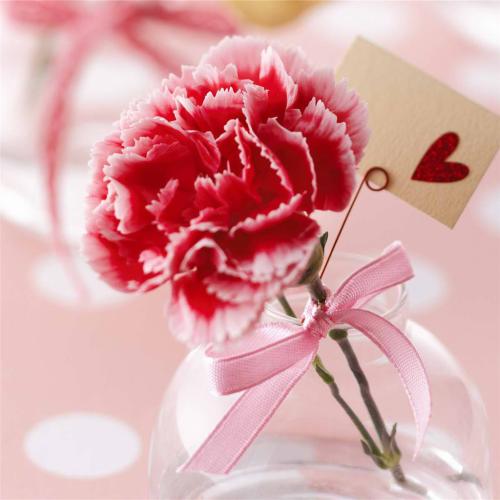 12.亲情，亲情！家庭情感……超越时空，编织出生活中最美丽的彩虹。